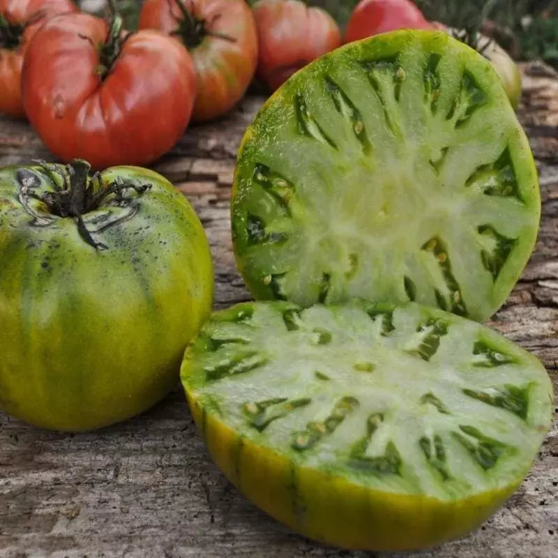 Cherokee Green Tomato Seeds - Heirloom Organic Non-GMO, 120+ Premium Seeds for Home Gardening, Rare Solanum lycopersicum Variety