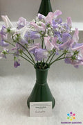 Sweet Pea Seeds - Enchante Variety, Climbing Plant, Fragrant Blooms, Lathyrus odoratus, Garden Seeds, 50+ Pack, USA