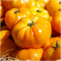 Yellow Brandywine Tomato Seeds - Heirloom Non-GMO Vegetable Seeds, Solanum lycopersicum, 50 Pack