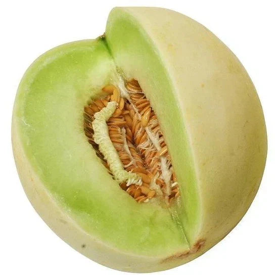 Organic Green Flesh Honeydew Seeds – Heirloom, Non-GMO, Vining Melon Seeds for Home Garden, Cucumis melo