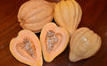 Thelma Saunders Winter Squash Seeds – Heirloom Cucurbita maxima, Organic, Non-GMO, Full Sun, Vining, Pack of 20 Seeds