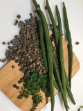 Moringa Seeds - 50+ Non-GMO Malungay Seeds for Planting - Moringa oleifera Tree Seeds