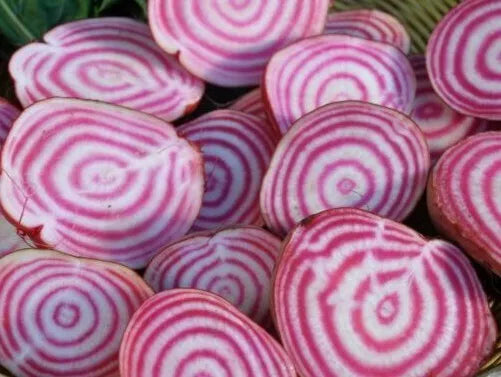 Chioggia Beet Seeds Pack | Heirloom Beta vulgaris | Pink & White Striped Vegetables | Garden, Salad, Roasting