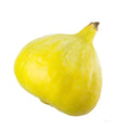 Desert King Fig Seeds - Ficus carica - 100+ Premium Garden Seeds for Growing Figs at Home