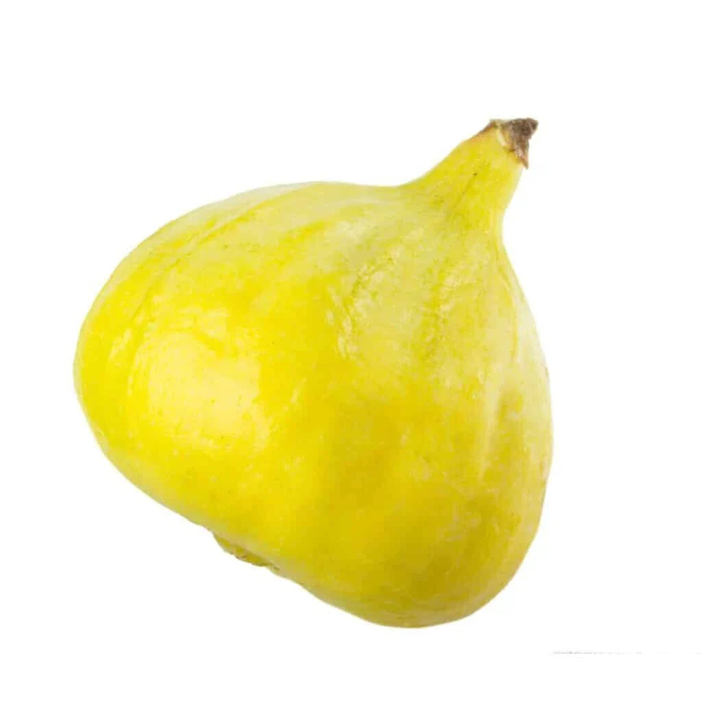 Desert King Fig Seeds - Ficus carica - 100+ Premium Garden Seeds for Growing Figs at Home