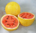 Golden Midget Watermelon Seeds - Citrullus lanatus Compact Vining Variety for Small Gardens & Containers