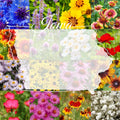 Wildflower Seed Mix 1/4 lb Bulk Iowa Native Blend for Pollinator Gardens, Covers 2,000 sq ft