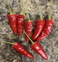 Paprika Spice Pepper Seeds - Heirloom Non-GMO Capsicum annuum - 25 Seeds for Home Garden, Culinary Use, Drying & Seasoning