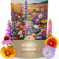 Wildflower Seed Mix Bulk 1/4 Pound Midwest Native Flower Seeds for Pollinators & Naturalized Gardens
