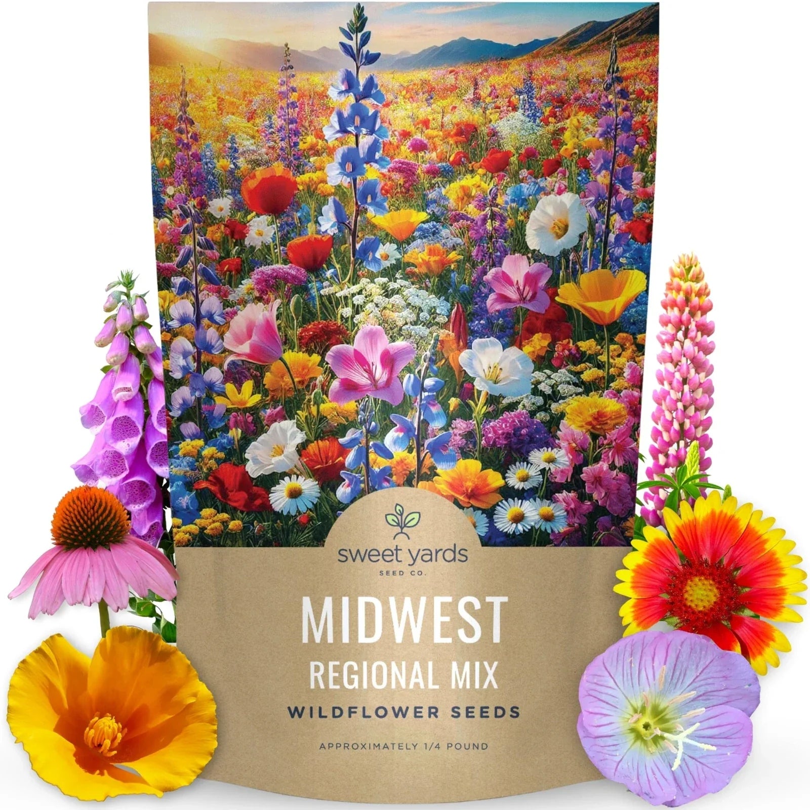 Wildflower Seed Mix Bulk 1/4 Pound Midwest Native Flower Seeds for Pollinators & Naturalized Gardens