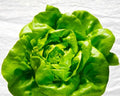 Butter King Lettuce Seeds 250+ Non-GMO Organic Lactuca sativa for Salad Greens, Home Garden, Container Planting