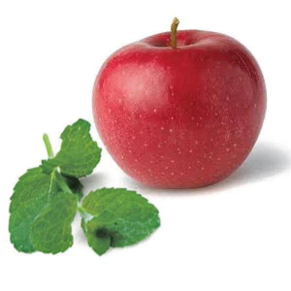 Apple Mint Seeds - 1000 Pack, Mentha suaveolens, Aromatic Herb, Butterfly Magnet, Culinary & Herbal Use