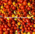 Rainbow Cherry Tomato Seeds Mix - Heirloom Non-GMO Indeterminate - 100 Seeds for Home Garden, Vegetable, Solanum lycopersicum