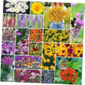 Perennial Wildflower Seeds Mix - 5 lb Bulk, 2,400,000+ Non-GMO Native Seeds for Meadows