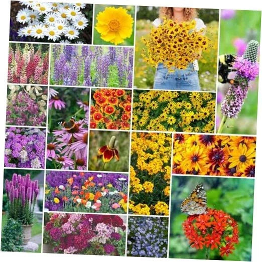 Perennial Wildflower Seeds Mix - 5 lb Bulk, 2,400,000+ Non-GMO Native Seeds for Meadows