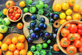 Black Cherry Tomato Seeds - 100+ Seeds, Midnight Snack Variety, Solanum lycopersicum, Indeterminate, Sweet, Dark Cherry Tomatoes