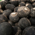 Spanish Black Radish Seeds - Non-GMO, 1,000 Pack, Raphanus sativus var. niger, Fast-Growing, Edible Root, Home Garden, Urban Farming