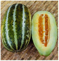 Thai Melon Seeds - 20+ Cucumis melo var. inodorus Muskmelon Seeds for Home Garden, Vietnam Dua Gang, Sweet & Aromatic