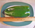 Big Bertha Sweet Pepper Seeds - Non-GMO Organic Heirloom Capsicum annuum, Large, Sweet, Fresh Seed Pack of 25+