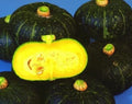 Black Kurinishiki Squash Seeds - Edible Black Cucurbita maxima - Heirloom Vegetable for Garden or Container Planting