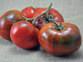 Paul Robeson Tomato Seeds - Rare Heirloom, Non-GMO Beefsteak Variety, Solanum lycopersicum, Garden & Container Growing