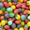 Rainbow Cherry Tomato Seeds Mix - Heirloom Solanum lycopersicum, 50+ Seeds for Container & Garden Growth