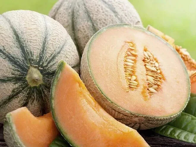 Extra Sweet Tuscan Cantaloupe Seeds - Heirloom Rockmelon Cucumis melo for Home Garden, 50 Pack