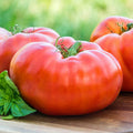 Red Brandywine Tomato Seeds 50 Count | Heirloom Non-GMO Vegetable Seeds | Lycopersicon lycopersicum