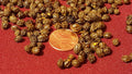 Papaya Fruit Tree Seeds - Organic Carica papaya - Tropical Gardening, Home Grow, Fast-Growing Tree, 100-1000 Seeds