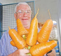 Giant Carrot Seeds Bulk 1000 Daucus carota Vegetable Garden Plant for Fresh Eating & Juicing