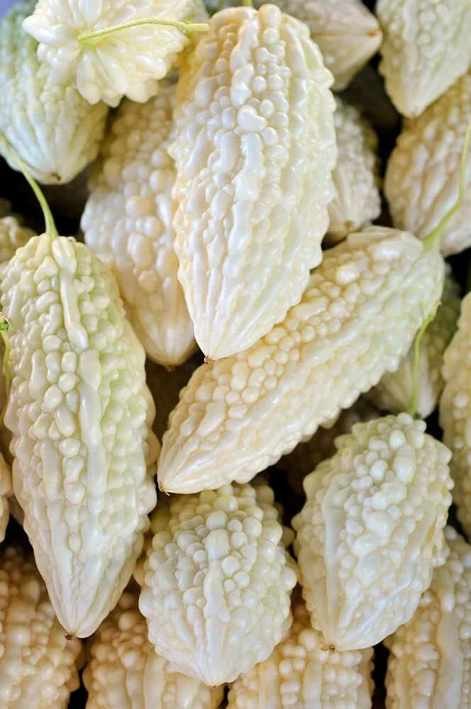 Exotic White Bitter Gourd Seeds - Momordica charantia, Climbing Vine, 10 Pack for Gardening and Culinary Use