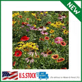 Wildflower Seed Mix - 1 lb Native Annual & Perennial Flowers for Pollinators - Midwest Wildflower Seeds Blend