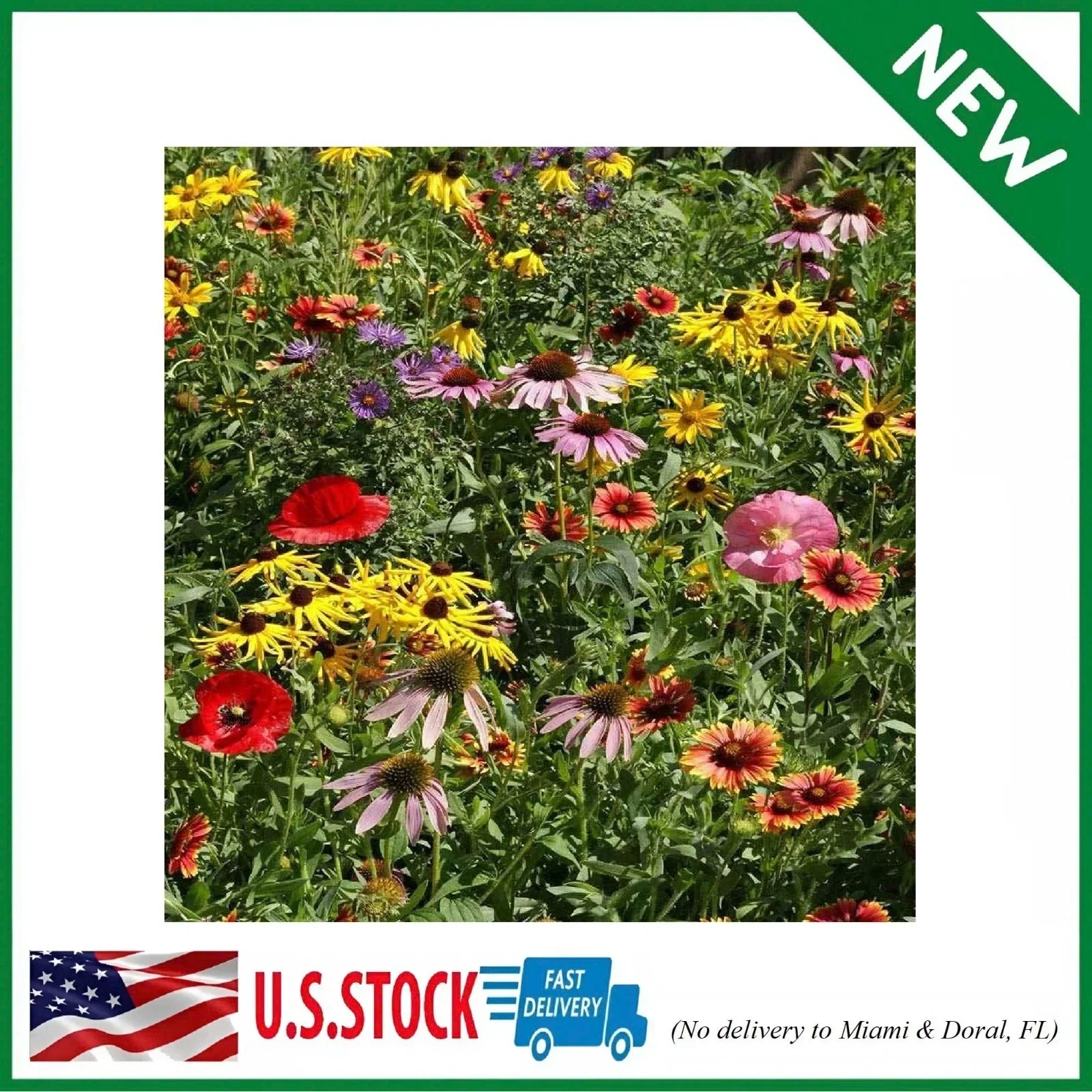 Wildflower Seed Mix - 1 lb Native Annual & Perennial Flowers for Pollinators - Midwest Wildflower Seeds Blend