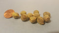 Palm Tree Seeds - 12 Pack Tropical Variety for Indoor & Outdoor Gardening - Arecaceae Family