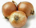 Onion Seeds - 100 Count, Spanish Yellow Heirloom, Non-GMO, Allium cepa Vegetable Seeds
