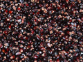 Dakota Black Popcorn Seeds - Heirloom Zea mays everta, Non-GMO, Fresh Popcorn Seed Pack, Black Kernels, Easy to Grow, Free Shipping