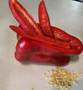Sweet Red Bell Pepper Seeds, Heirloom, Non-GMO, 100 Count, Capsicum annuum, Juicy, Crunchy, Full Sun, Garden or Container