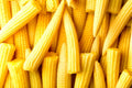 Japanese Baby Corn Seeds - 20 Seeds, Edible Salad Garnish, Zea mays var. saccharata, Fast-Growing, Tender, Sweet Corn Seeds