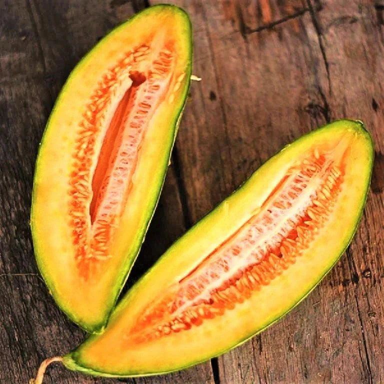 Cantaloupe Seeds - 50+ Count - Banana Variety - Heirloom Cucumis Melo for Gardening and Planting