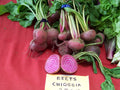 Beet Seeds - Chioggia Candystripe Bullseye - Beta vulgaris - Non-GMO Vegetable Seeds for Home Gardening, 165 Pack