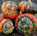 Turk's Turban Pumpkin Gourd Seeds - 25 Organic Heirloom Non-GMO Cucurbita maxima for Decorative & Culinary Use