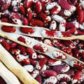 Jacob's Cattle Bean Seeds - 20 Seeds, Heirloom Phaseolus vulgaris, High Yielding Bush Beans for Planting