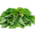 Green Amaranth Seeds - 500+ | Edible Chinese Spinach Yin Cho | Amaranthus viridis Vegetable Seeds for Gardening