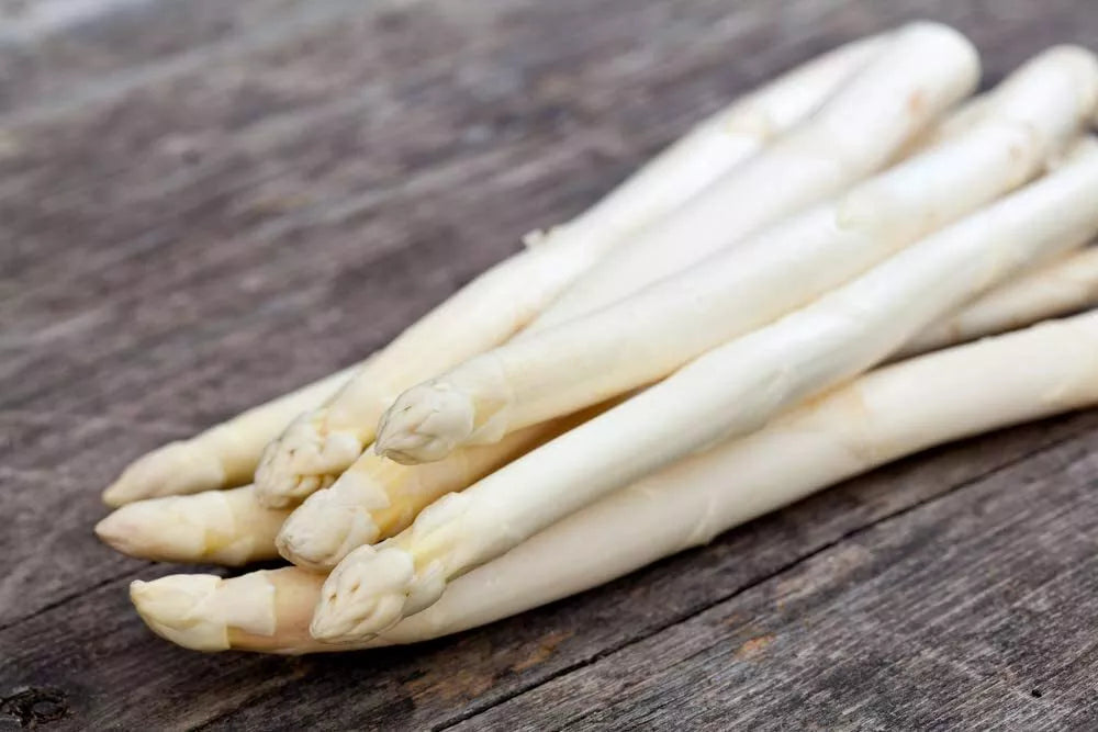 White Asparagus Seeds 100 Count for Planting, Gourmet Vegetable, Asparagus officinalis, Rare Garden Vegetable Seeds