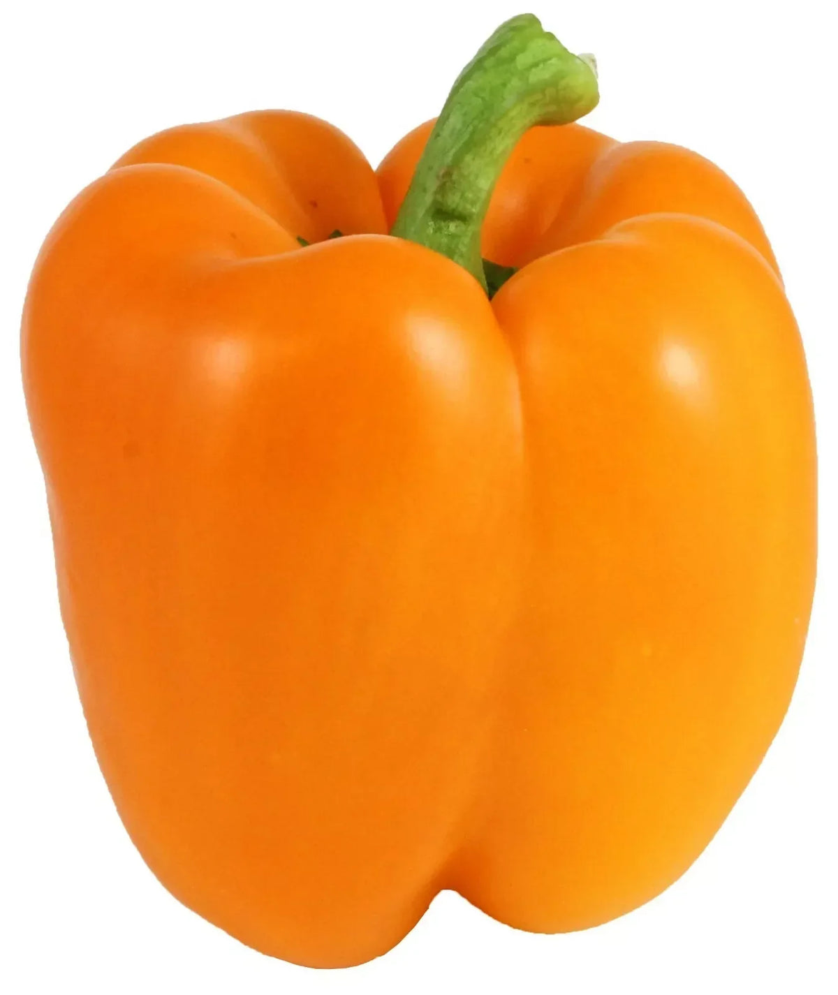 Orange Bell Pepper Seeds - Non-GMO Heirloom Capsicum annuum for Home Garden, 50+ Seeds