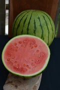 Tiger Baby Watermelon Seeds - 50+ Pack, Citrullus lanatus, Non-GMO, USA Grown, Small Sweet Watermelons, Garden & Container Planting