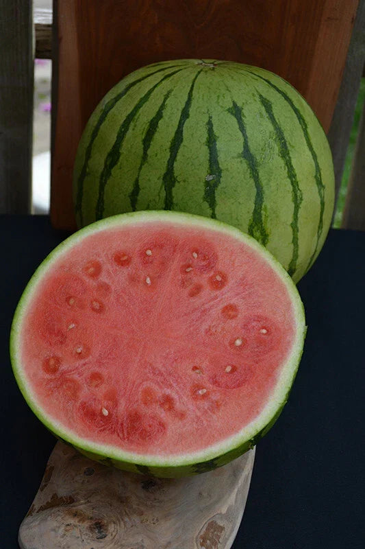 Tiger Baby Watermelon Seeds - 50+ Pack, Citrullus lanatus, Non-GMO, USA Grown, Small Sweet Watermelons, Garden & Container Planting