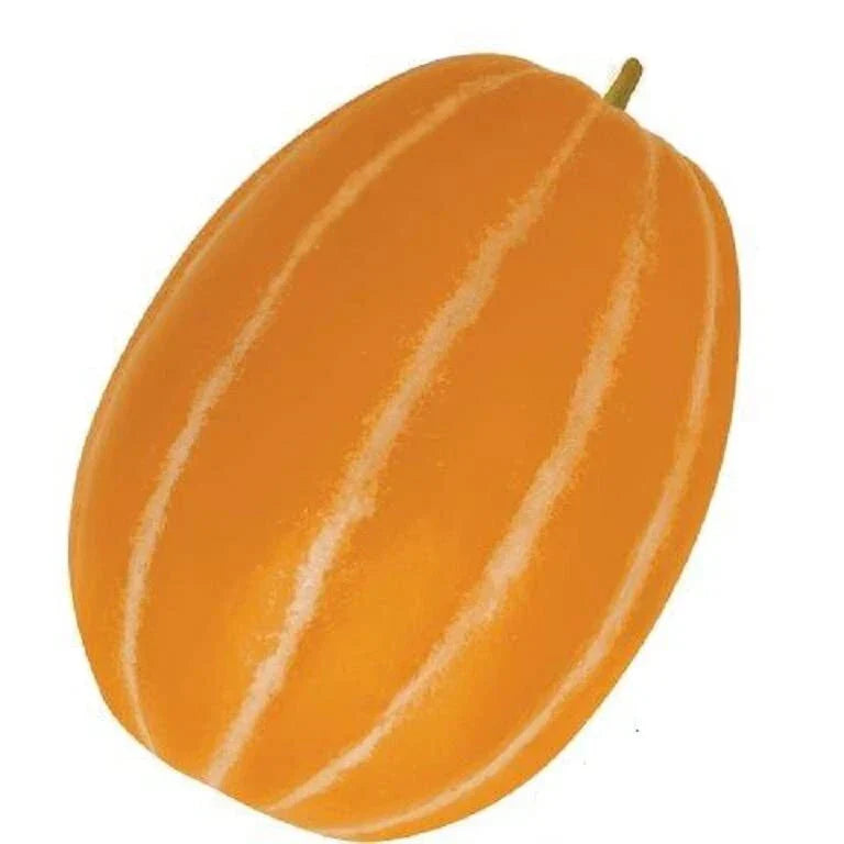 Korean Melon Seeds - 10 Pack - Orange Skinned Dae Jang Geum Cucumis melo var. makuwa for Home Garden & Container Growing