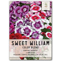 Sweet William Wildflower Seeds - Dianthus barbatus - Colorful Perennial Garden Flowers - Seed Packet for Borders & Cut Flowers