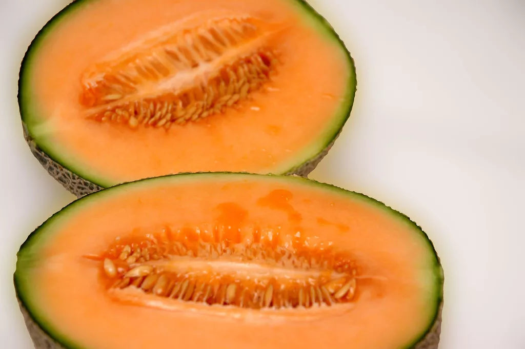 Melon Seeds - 40 Count Iroquois Muskmelon Cantaloupe Cucumis melo Non-GMO Fruit Seeds for Home Garden, Juicy, Sweet, Vining